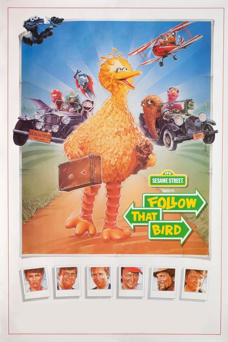 Poster Follow That Bird