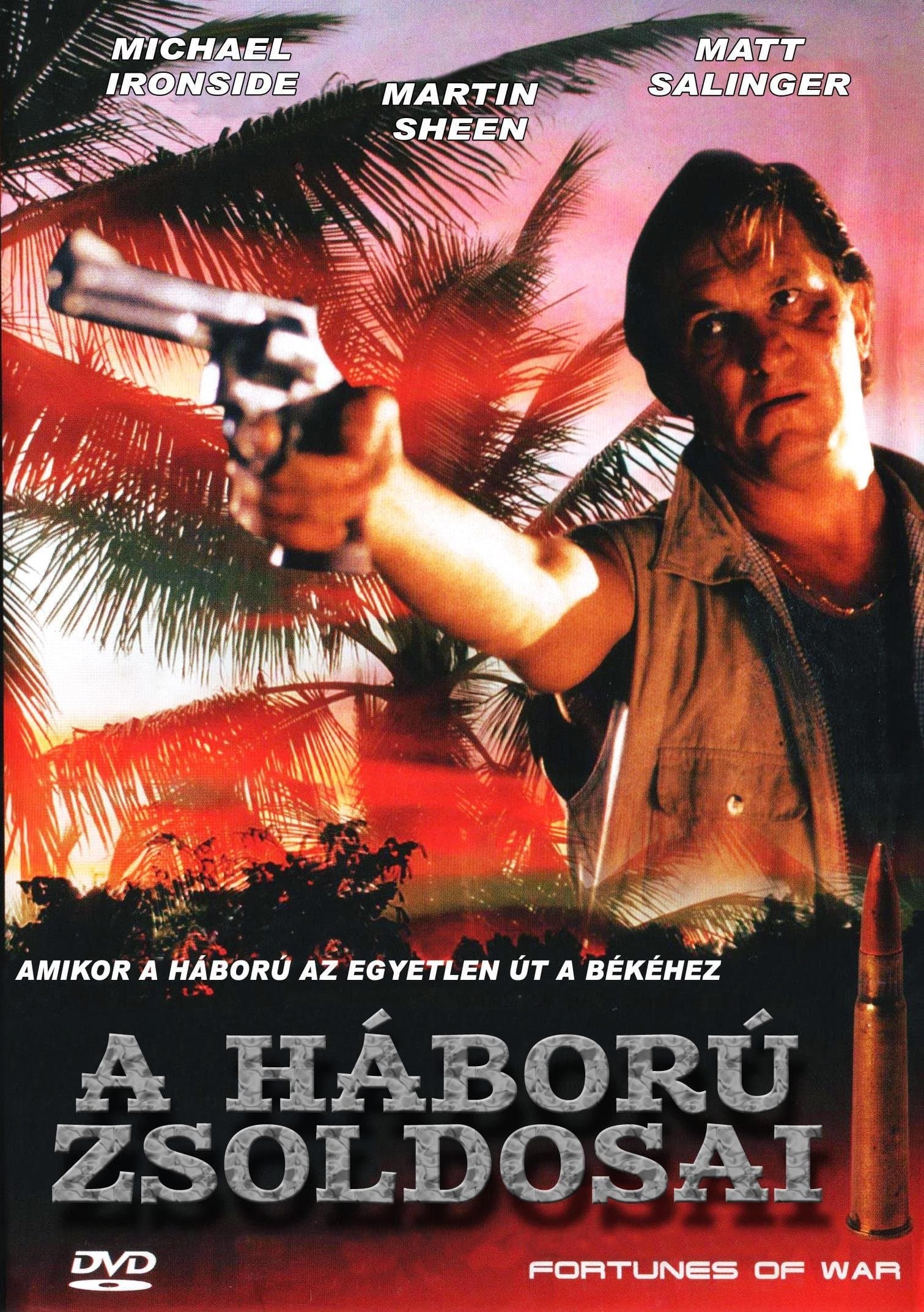 Poster Fortunes of War