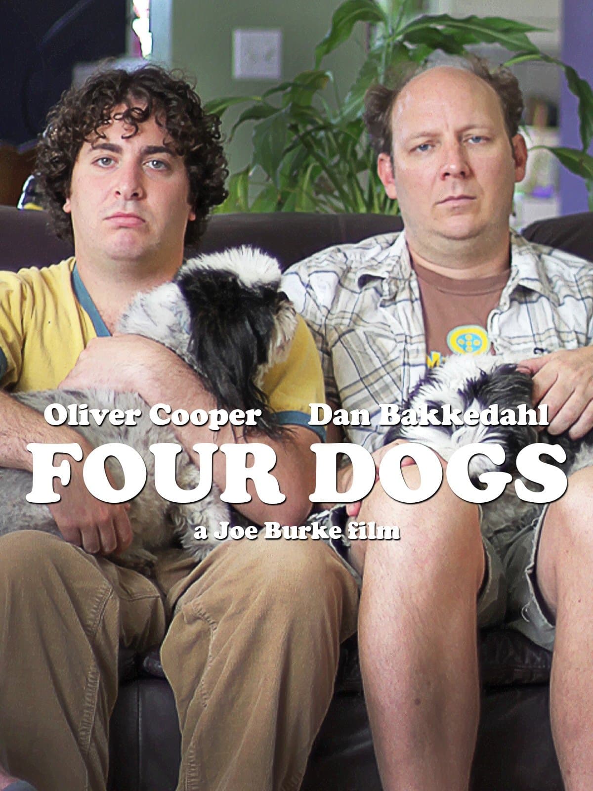 Poster Four Dogs