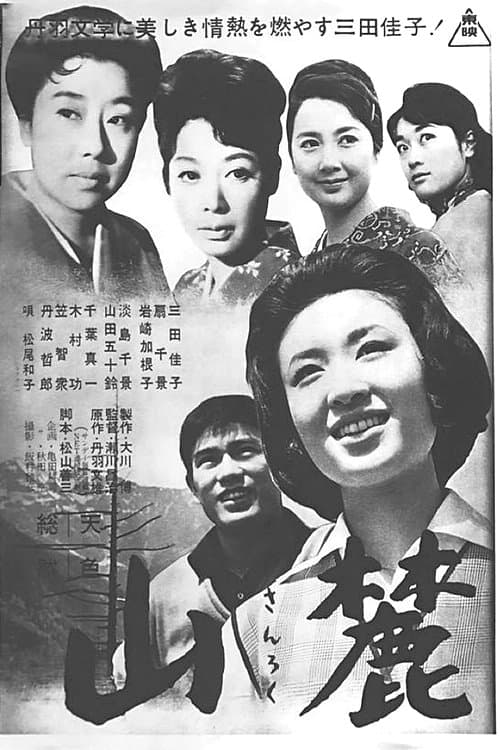 Poster Four Sisters