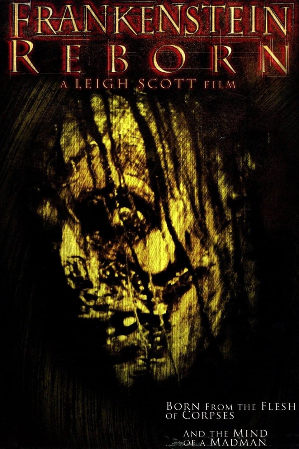 Poster Frankenstein Reborn