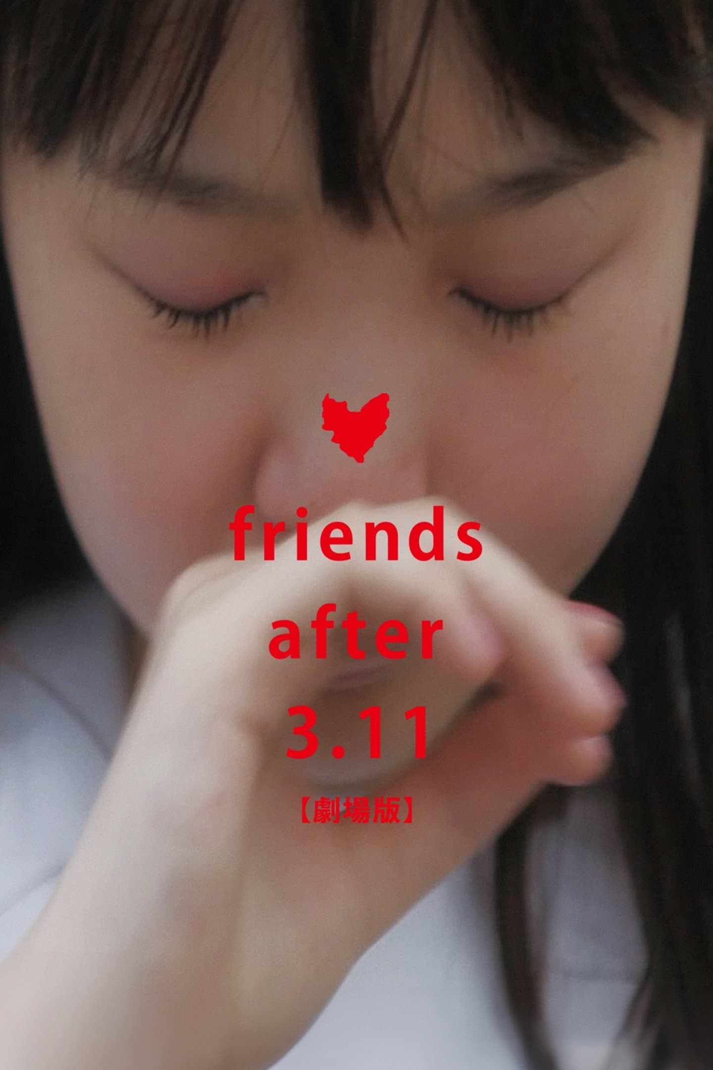 Poster Friends After 3.11