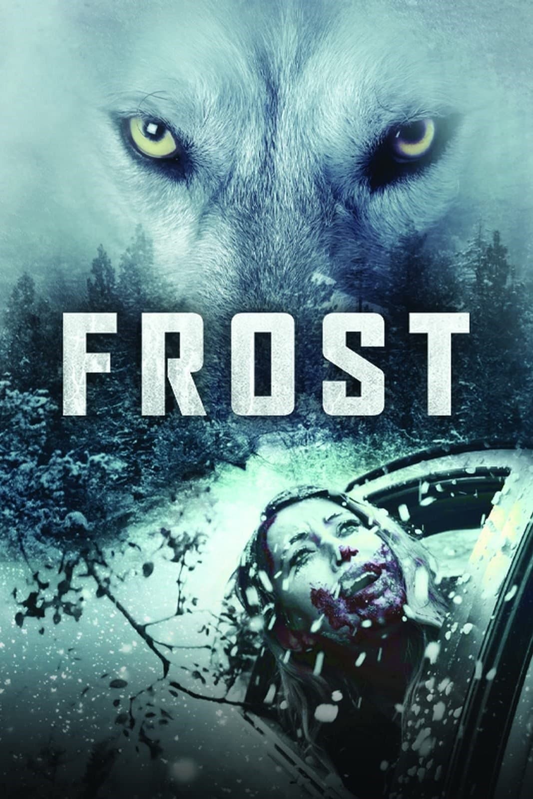 Poster Frost