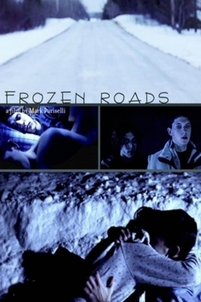 Poster Frozen Roads