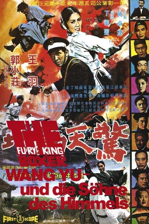 Poster Fury of King Boxer