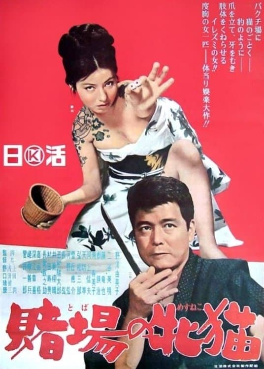 Poster Gambling Kitten