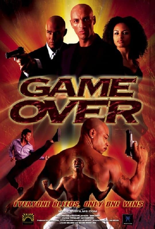 Poster Game Over