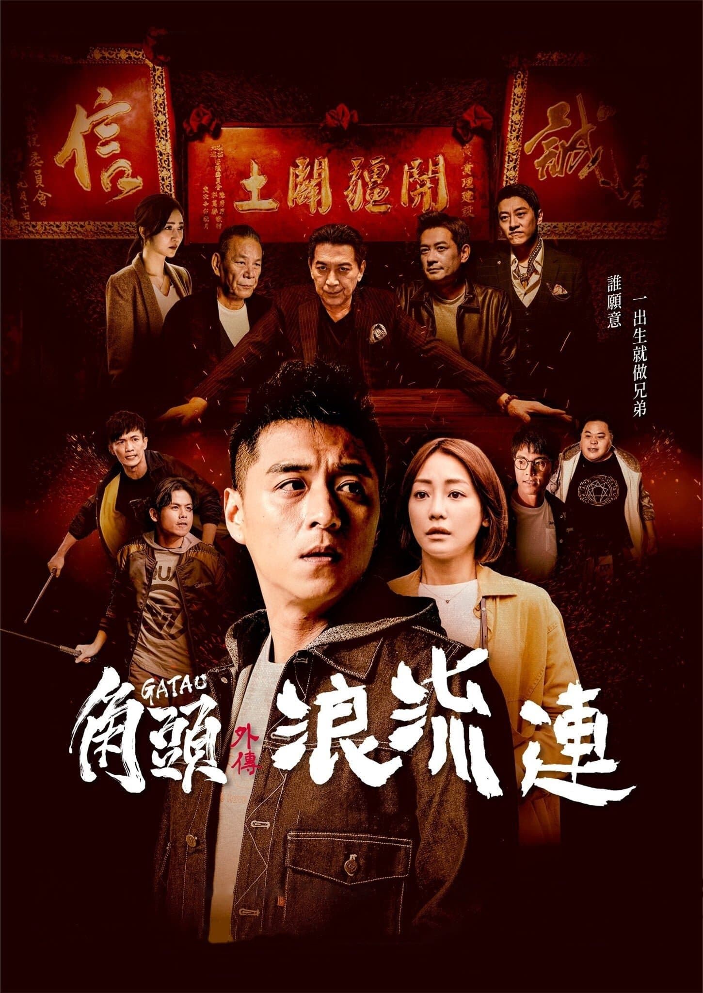 Poster Gatao: The Last Stray