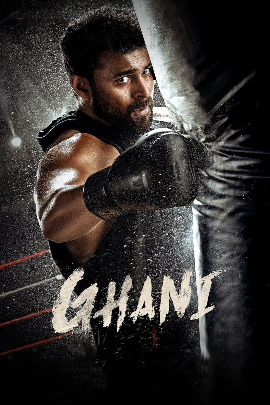 Poster Ghani