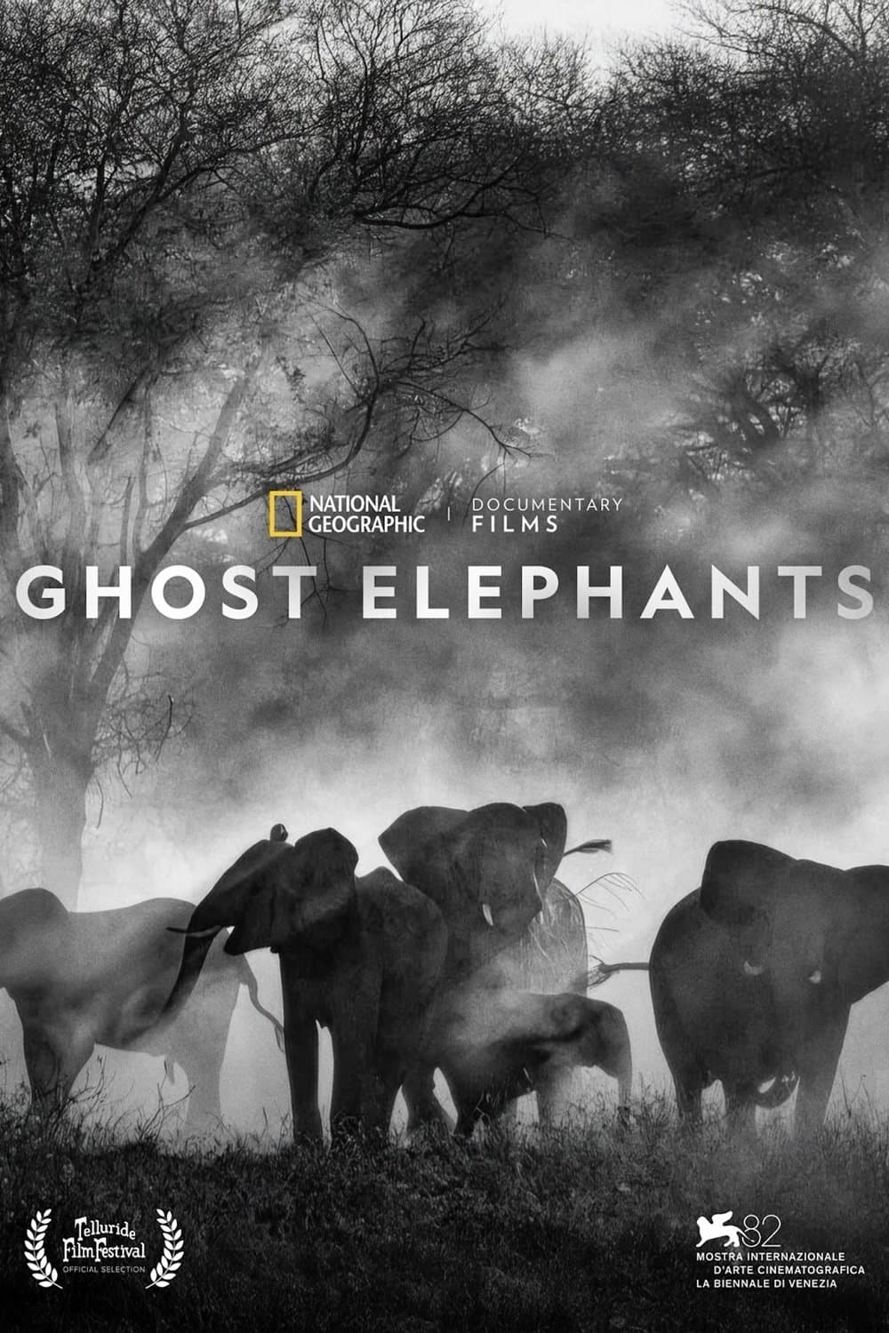 Poster Ghost Elephants