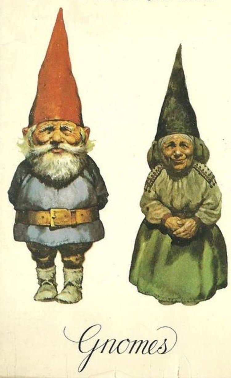 Poster Gnomes