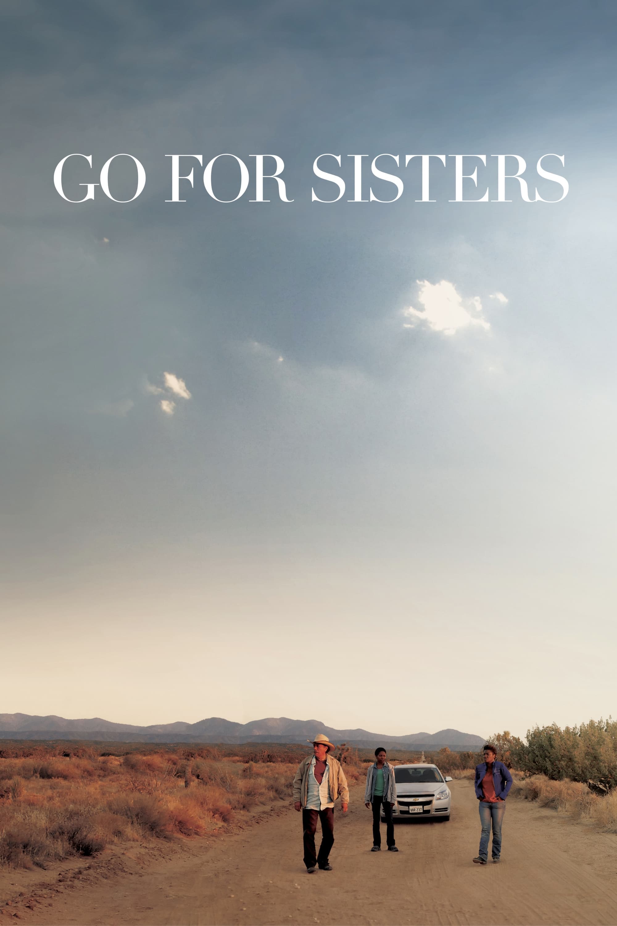 Poster Go for Sisters
