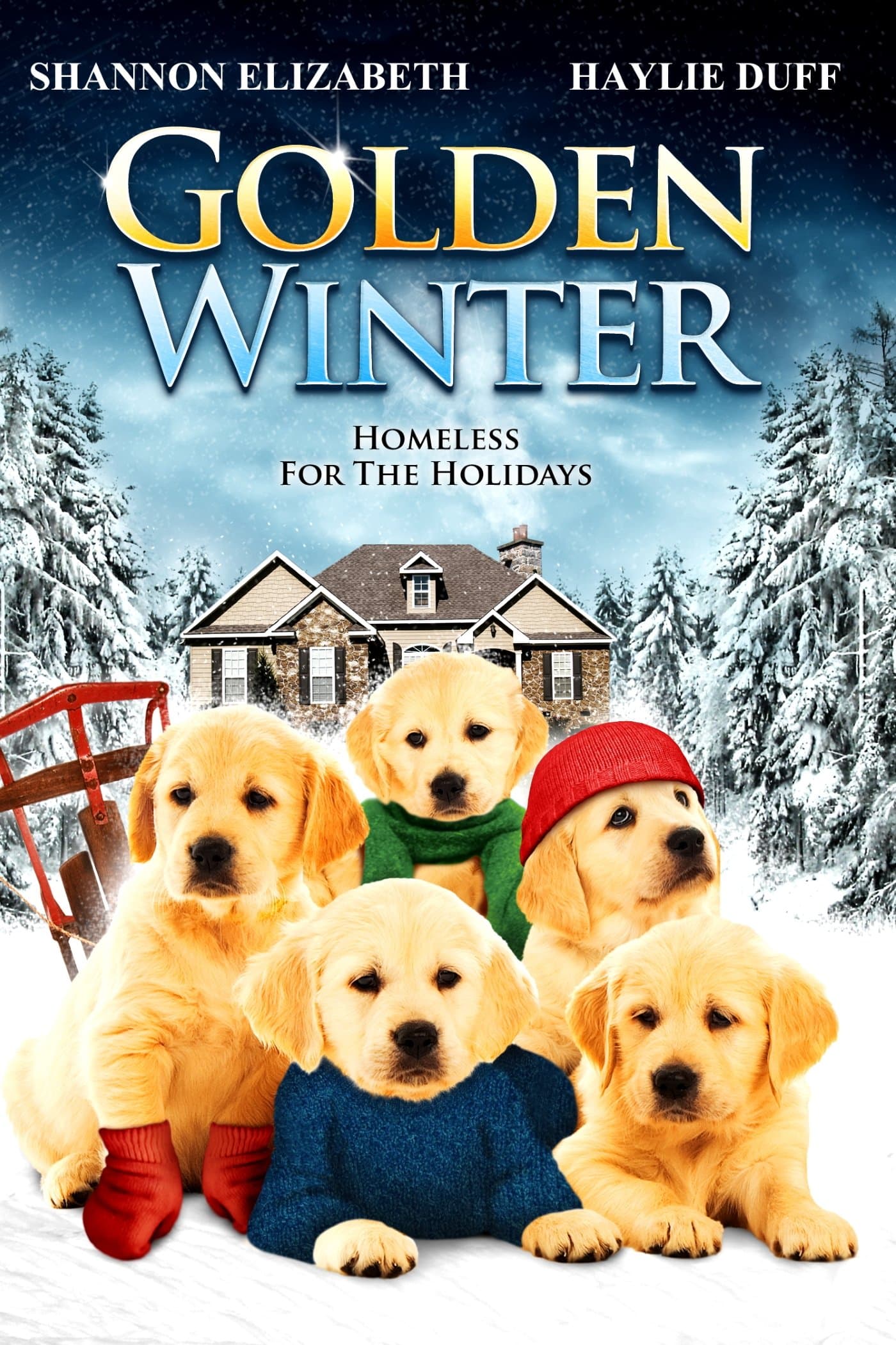 Poster Golden Winter