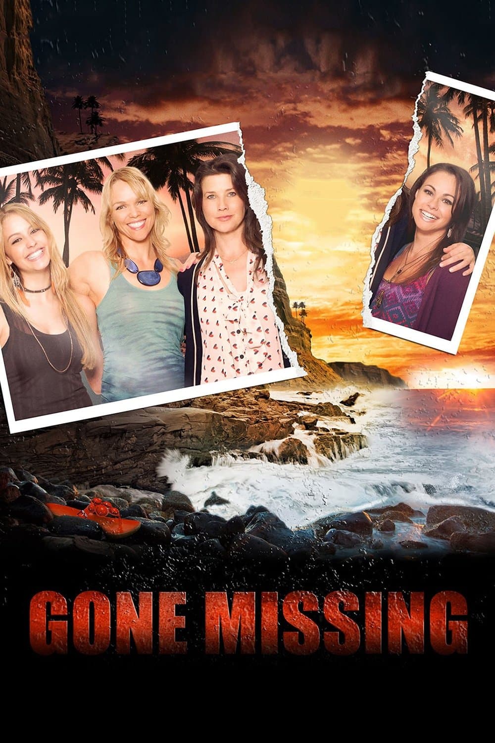 Poster Gone Missing