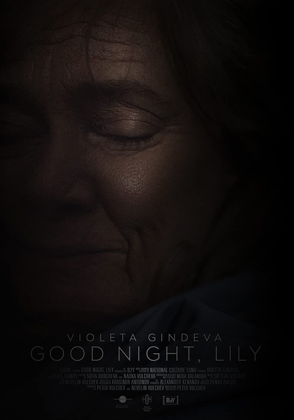 Poster Good Night, Lily