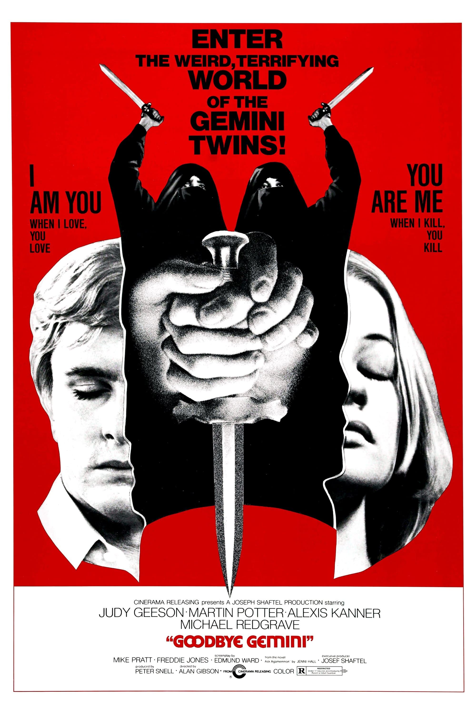 Poster Goodbye Gemini