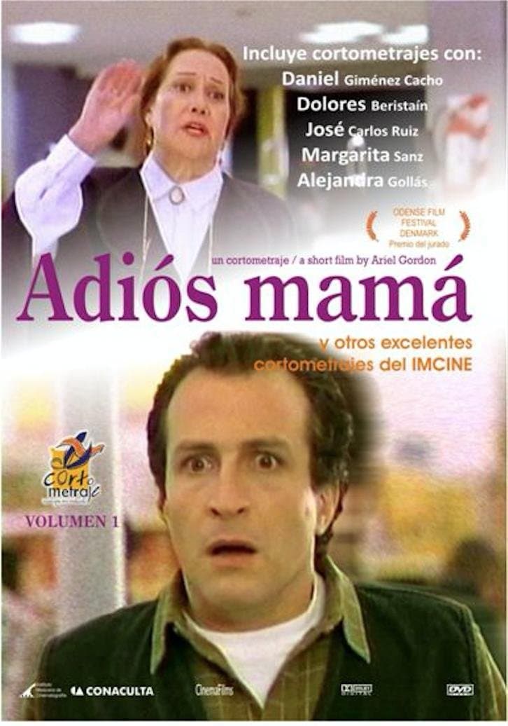 Poster Goodbye Mom