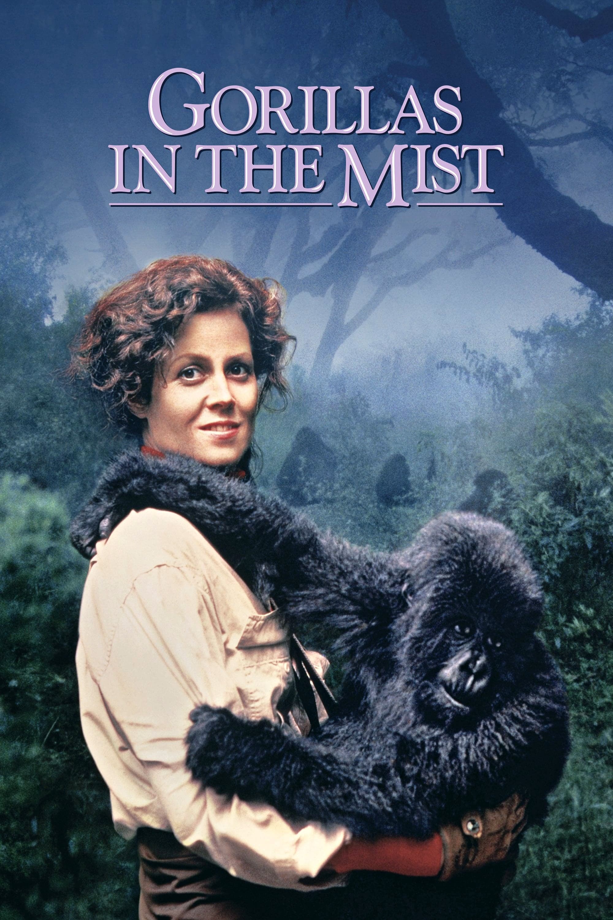 Poster Gorillas in the Mist