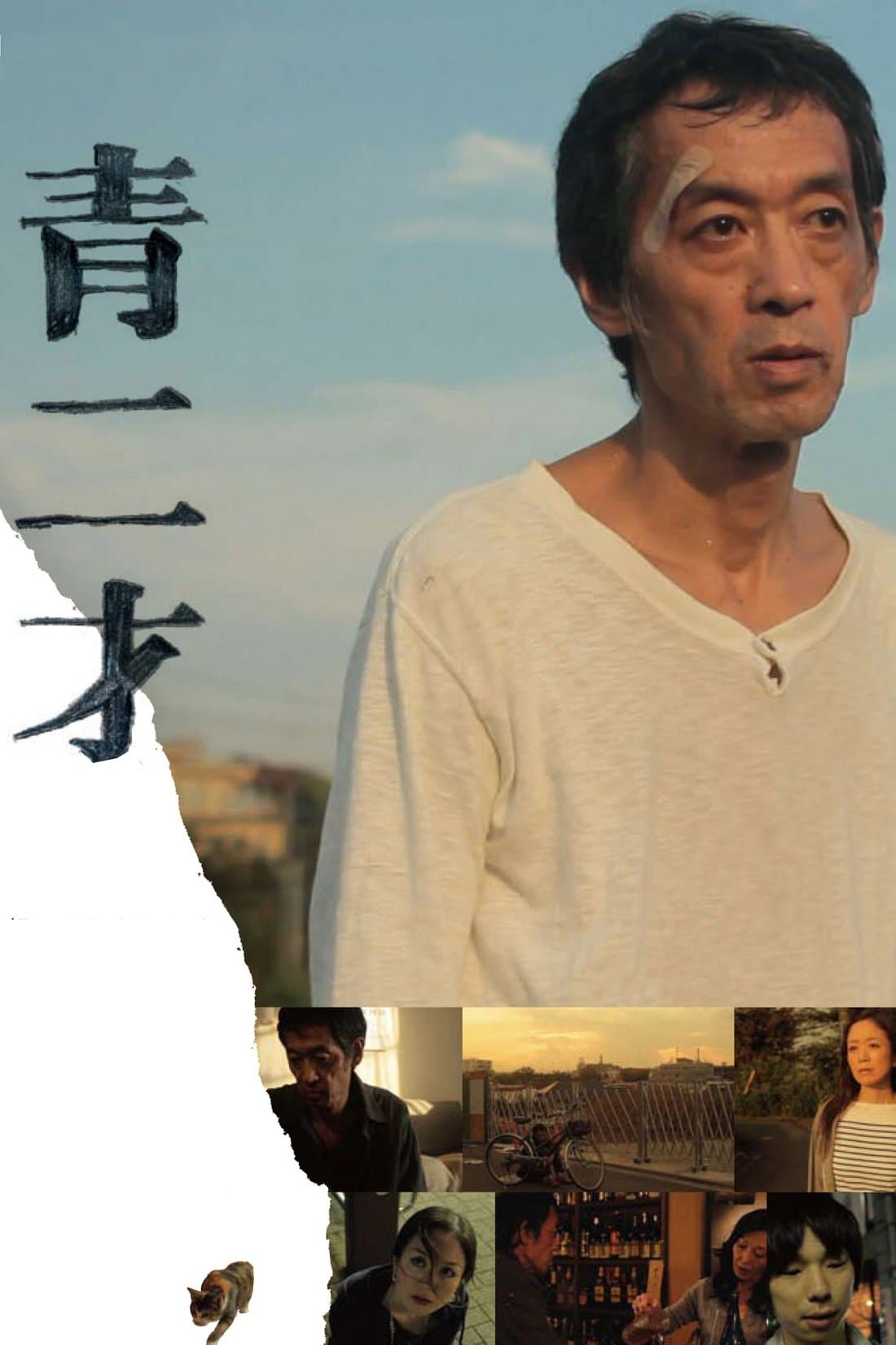Poster Greenhorn