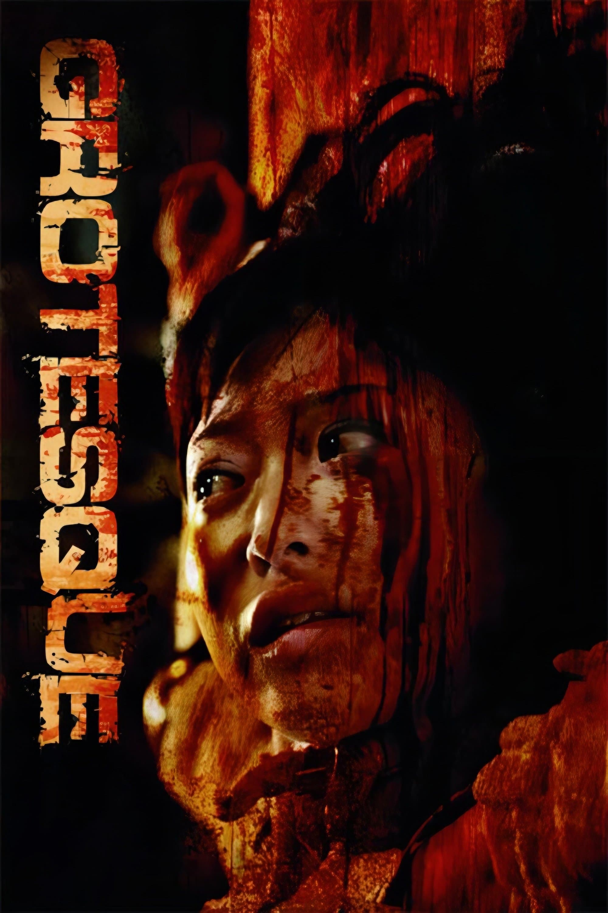 Poster Grotesque