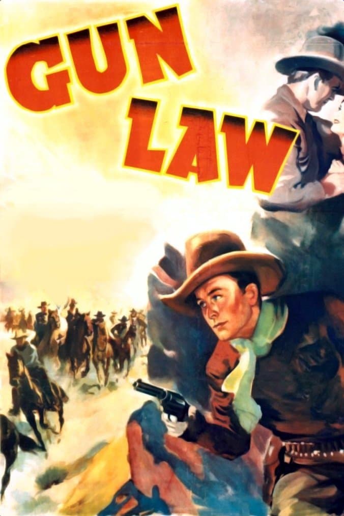 Poster Gun Law