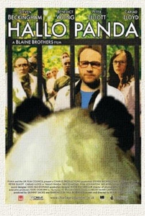 Poster Hallo Panda