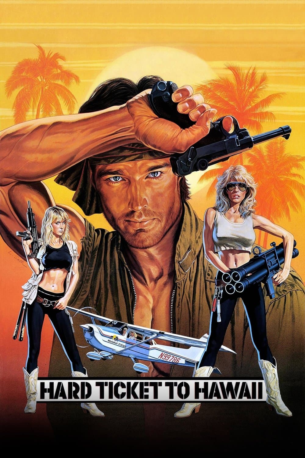 Poster Hard Ticket to Hawaii
