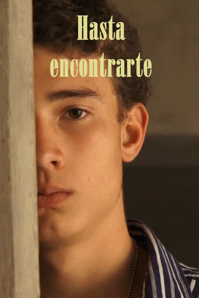 Poster Hasta encontrarte