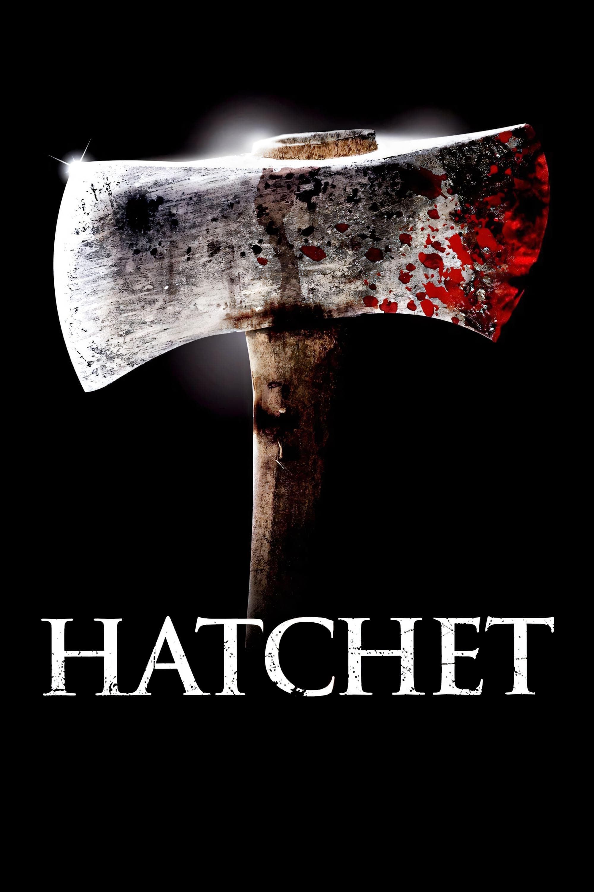 Poster Hatchet