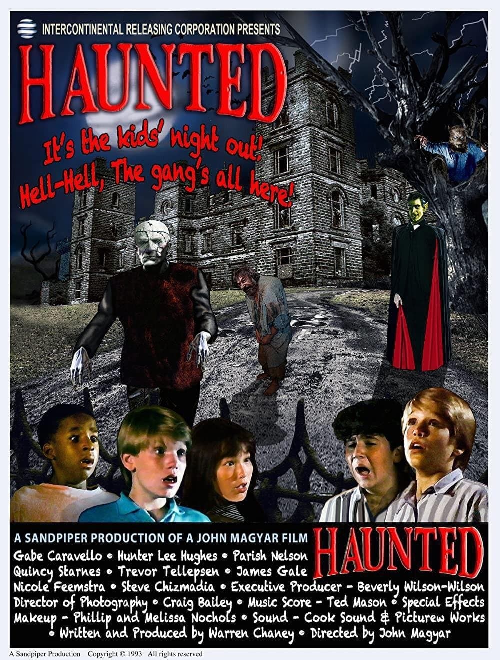 Poster Haunted