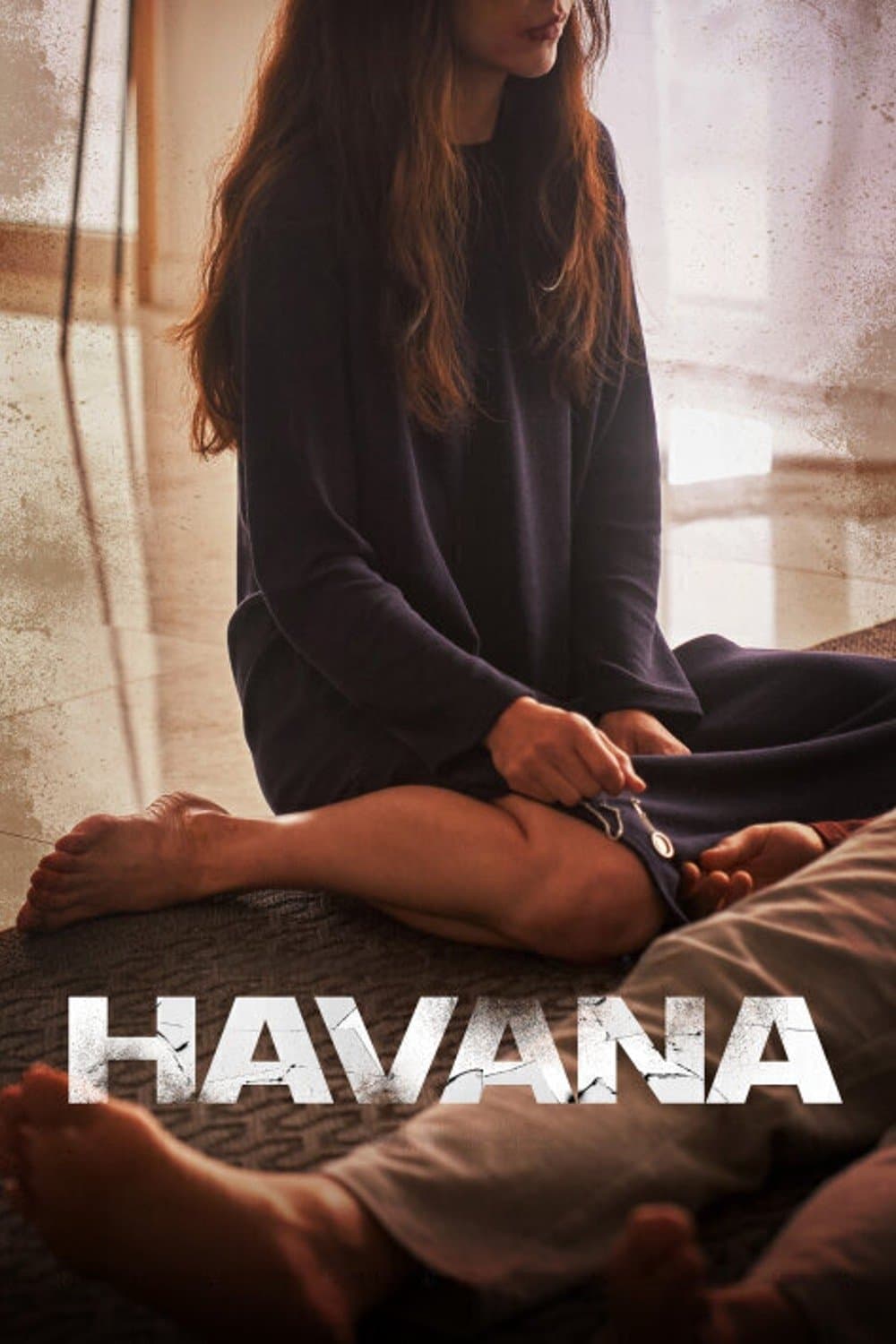 Poster Havana