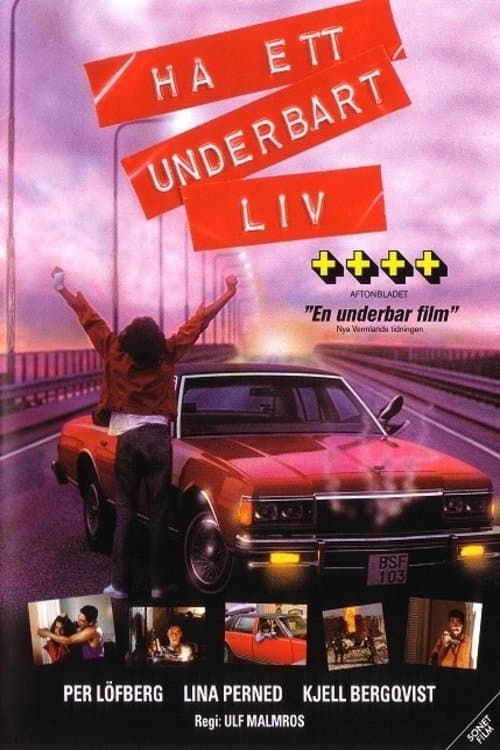 Poster Have a Wonderful Life