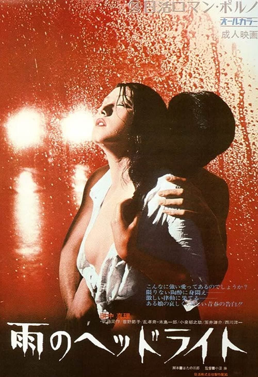Poster Headlights in the Rain