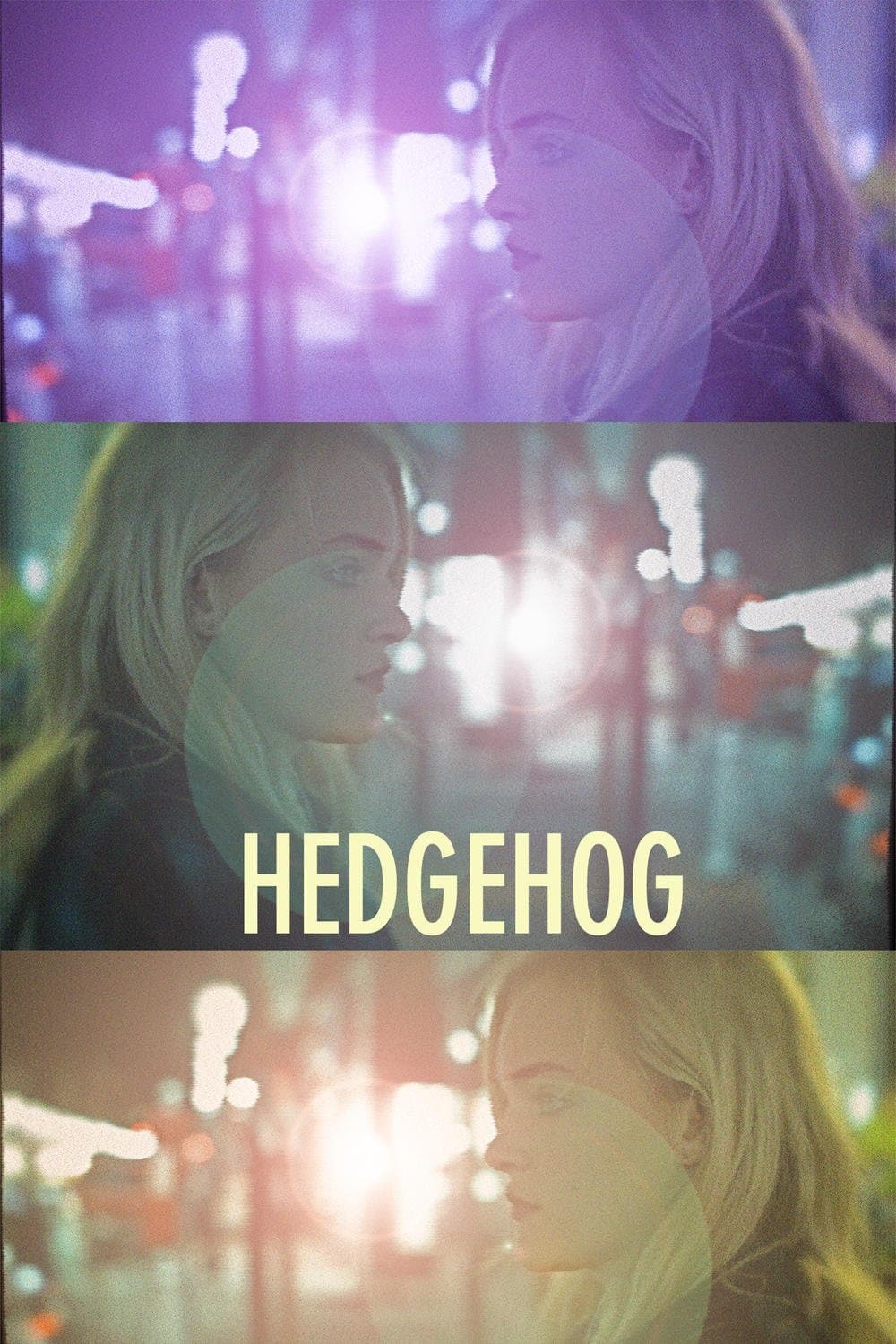 Poster Hedgehog