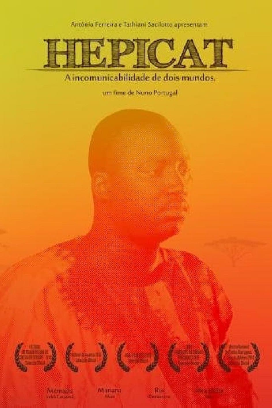 Poster Hepicat