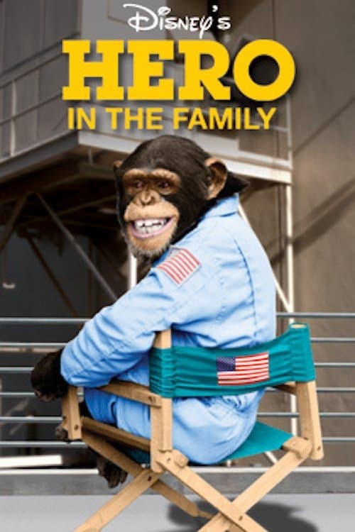 Poster Hero in the Family