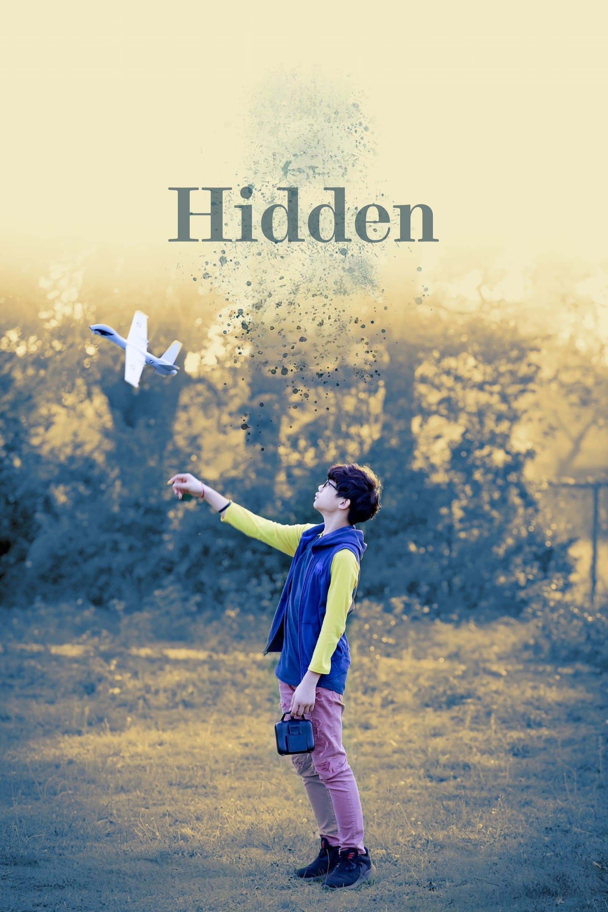 Poster Hidden