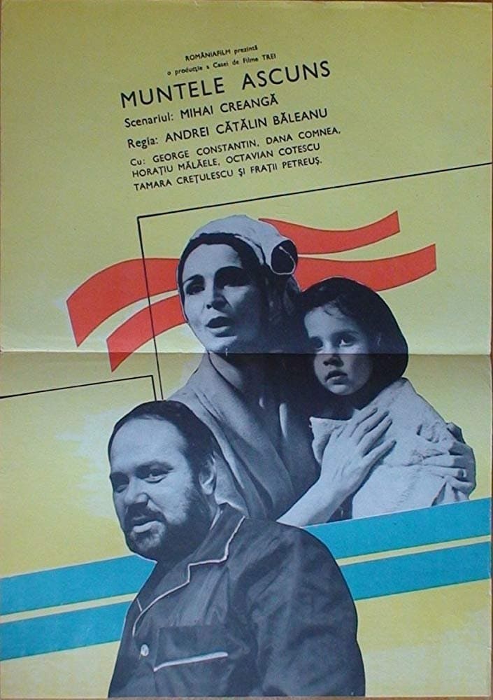 Poster Hidden Mountain