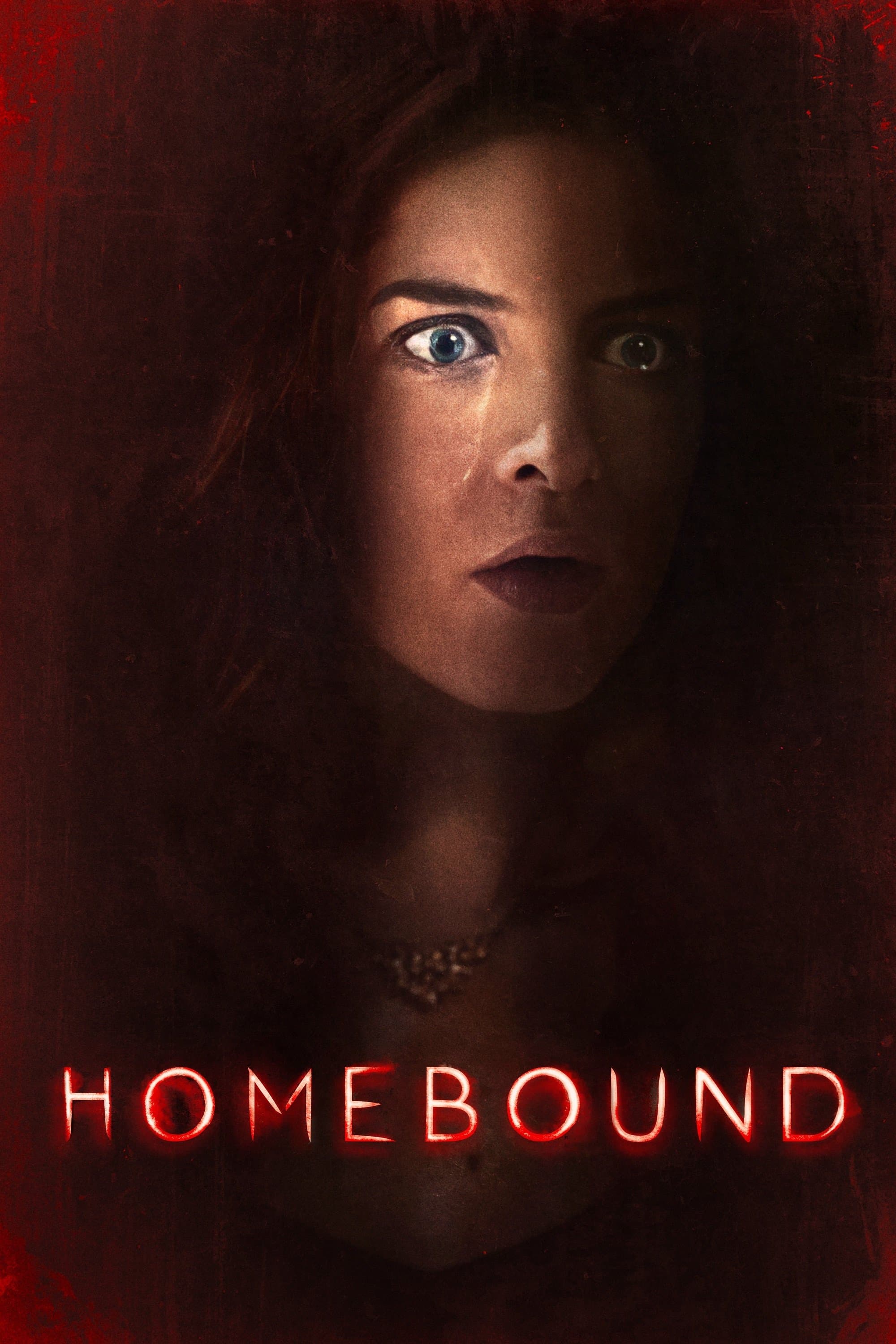 Poster Homebound