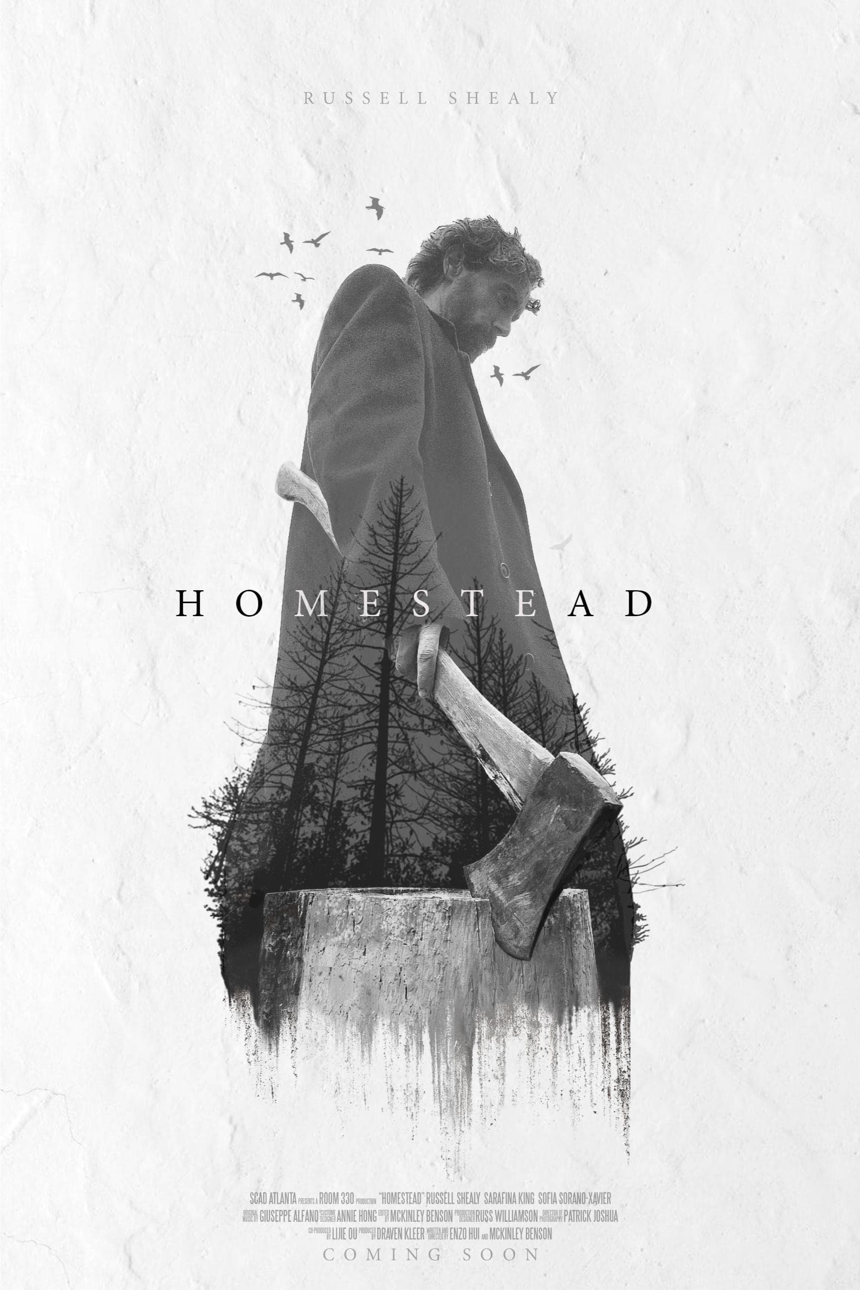 Poster Homestead