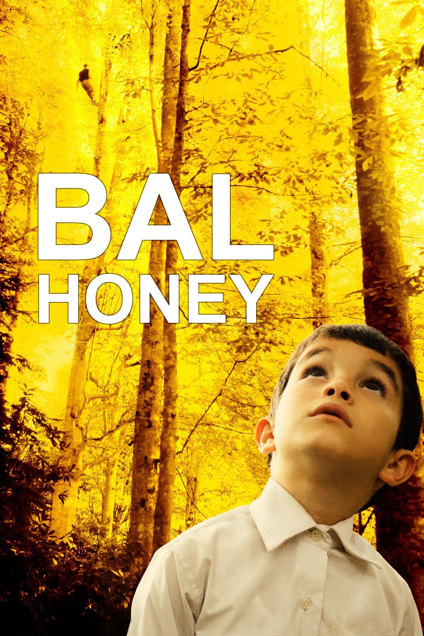 Poster Honey