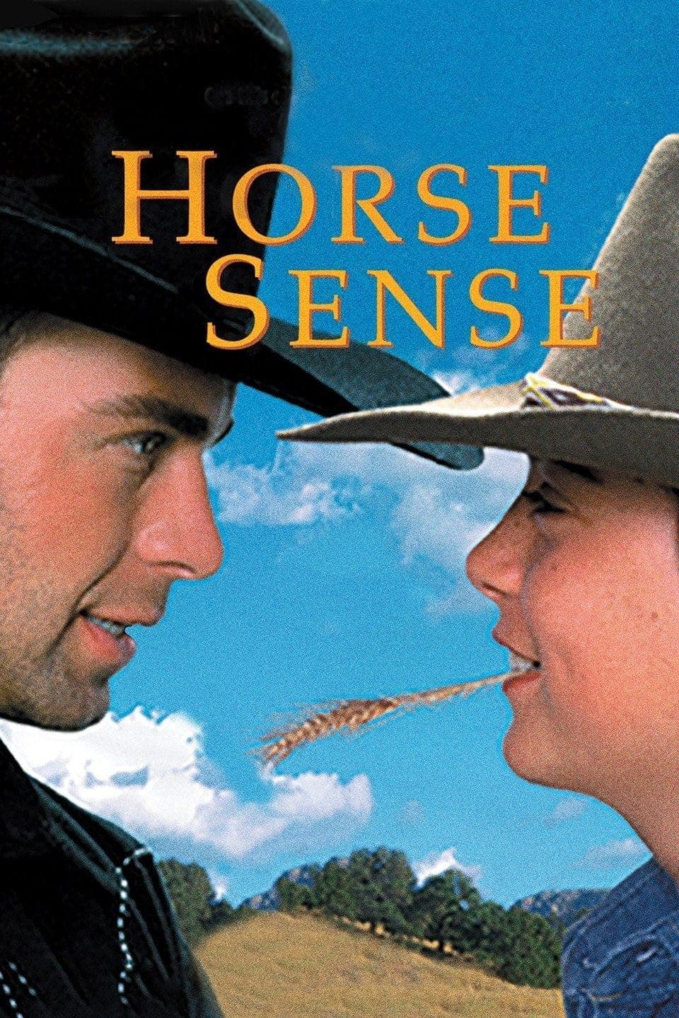 Poster Horse Sense