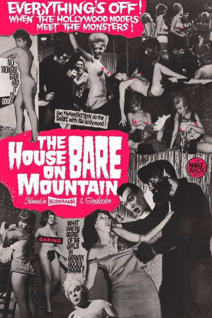 Poster House on Bare Mountain