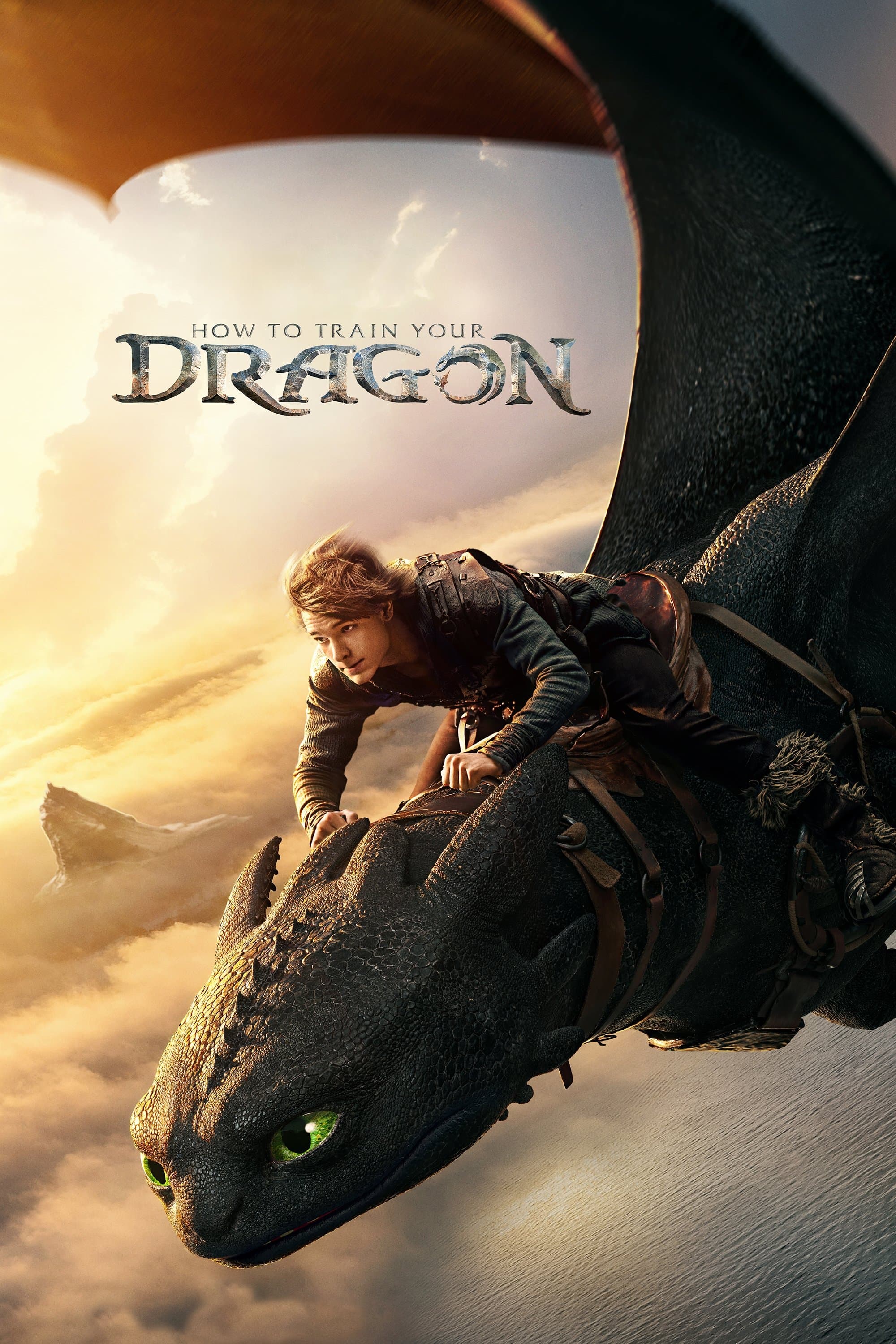 Poster How to Train Your Dragon