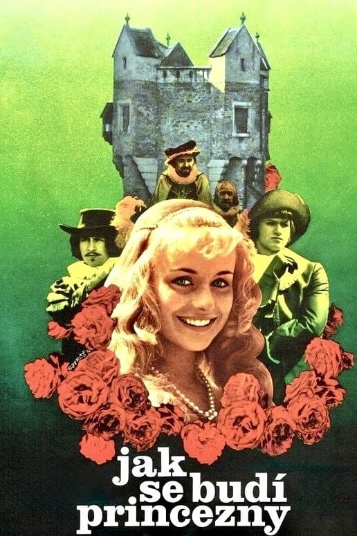 Poster How to Wake a Princess