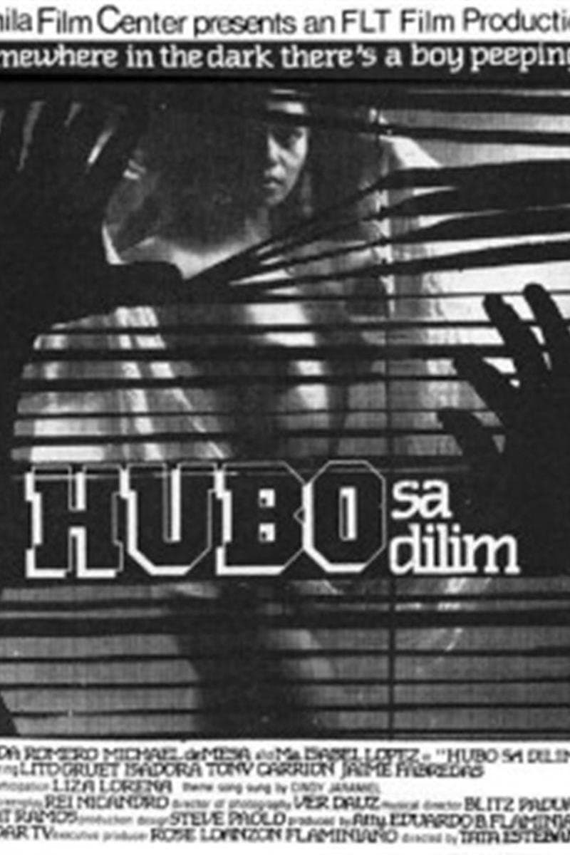 Poster Hubo sa dilim
