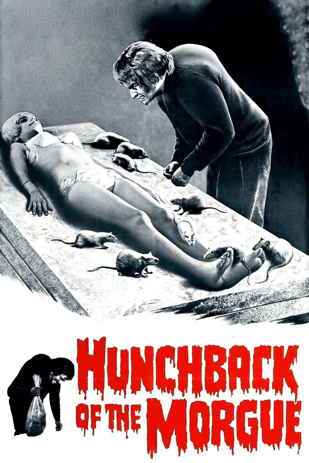 Poster Hunchback of the Morgue