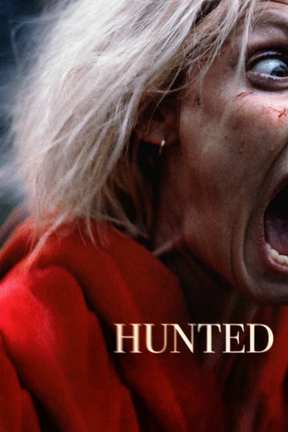 Poster Hunted