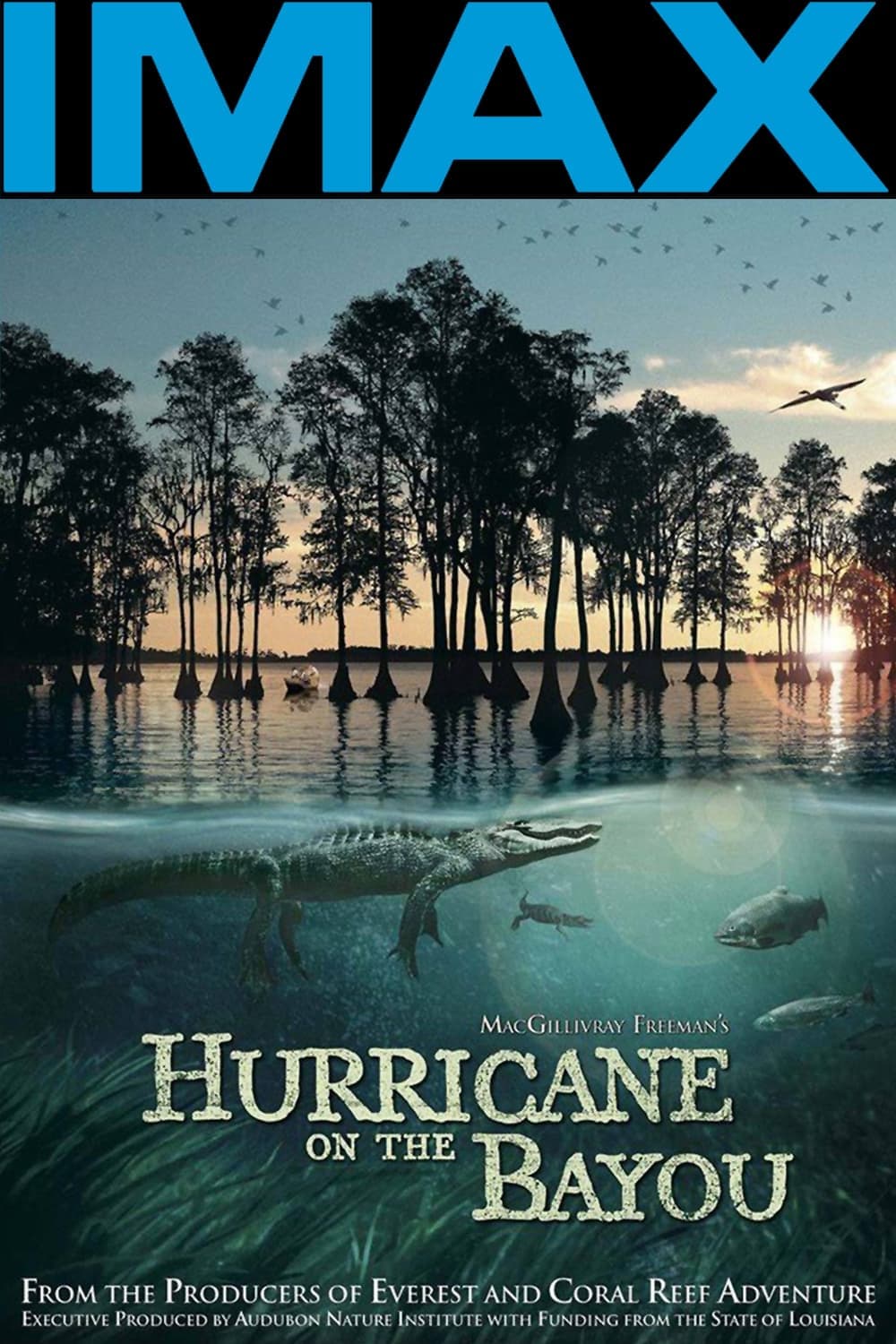 Poster Hurricane on the Bayou
