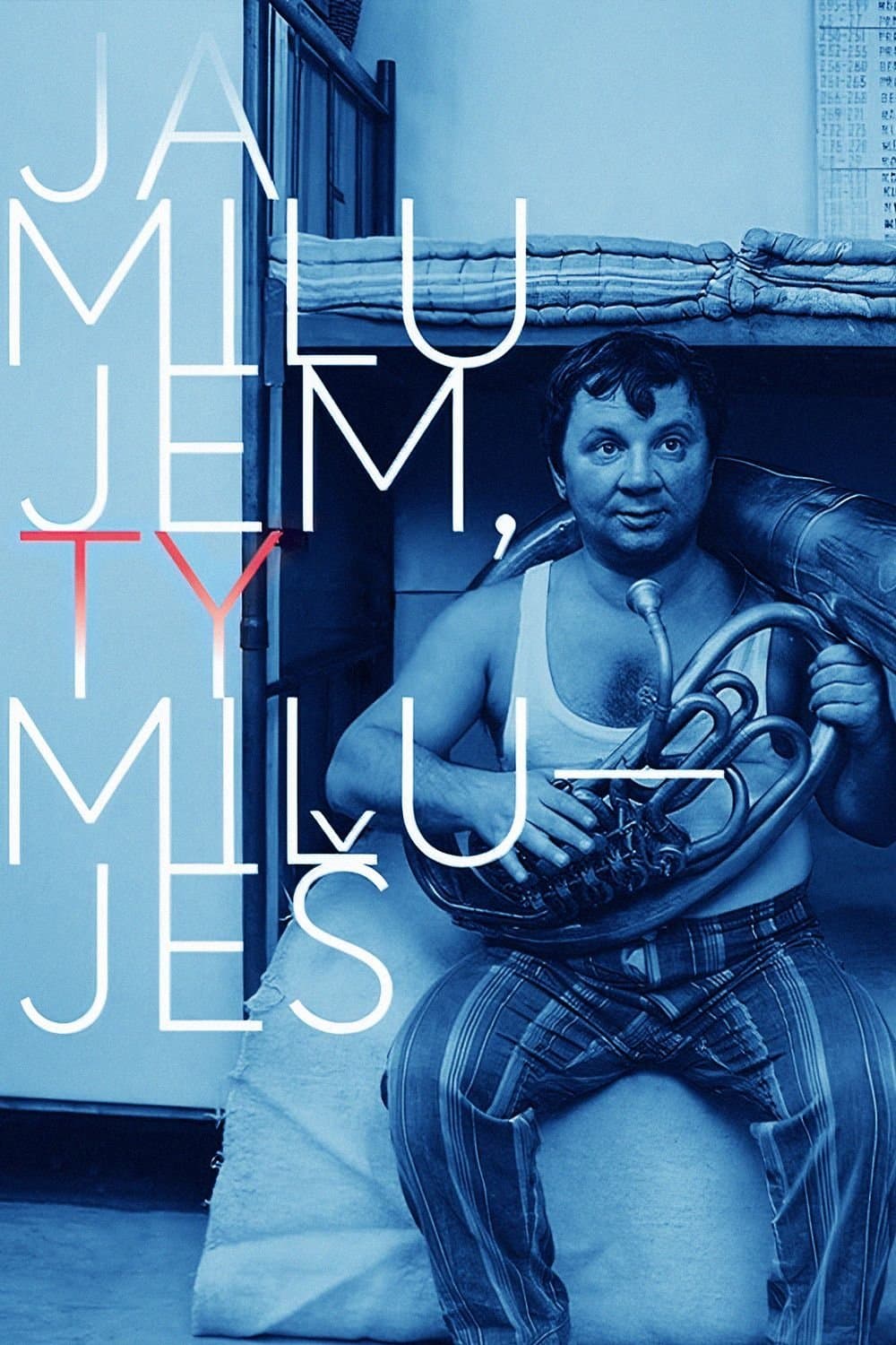 Poster I Love, You Love